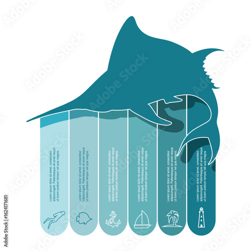 Fish market banner design template. Fishing trophy, Sailfish, swordfish, marlin with six features or option of project to select. Minimal infographic for fresh seafood information visualization.