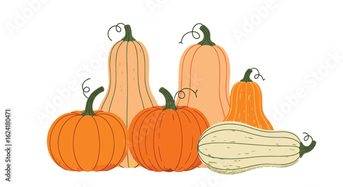 A vibrant assortment of autumn harvest pumpkins and gourds displayed together on a white background capturing the essence of fall season