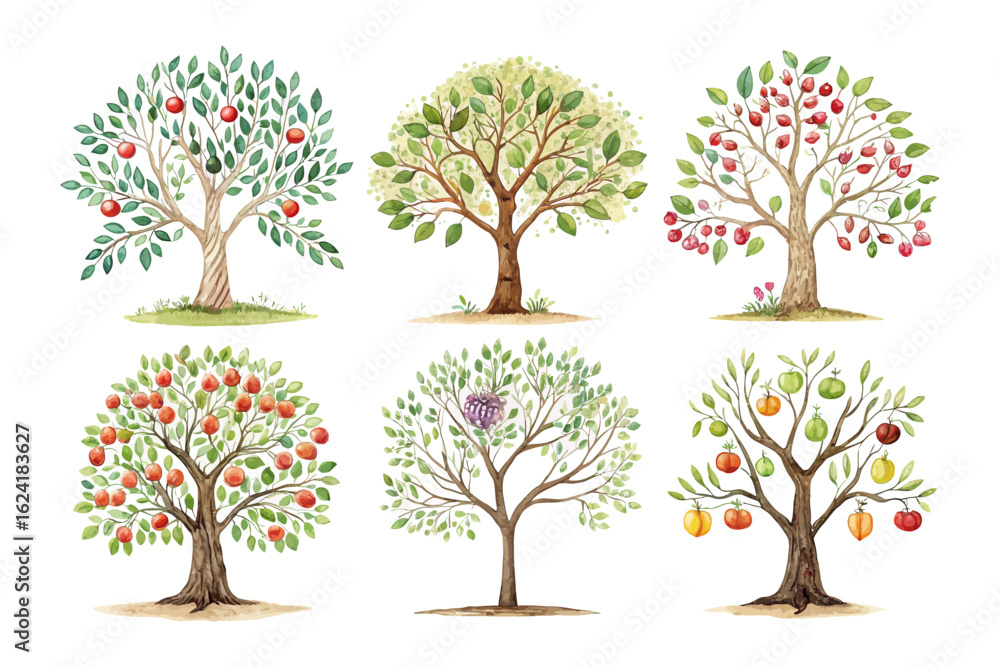 Obraz premium sett of watercolor jujube tree vector illustration isolated on white background