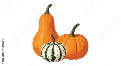 Three gourds of various shapes and sizes showcasing autumn harvest colors with ribbed textures and green stems