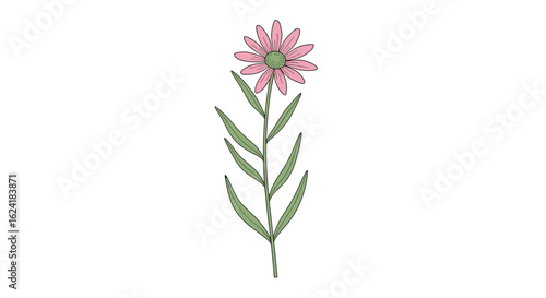 Discover the delicate beauty of a single pink wildflower with its slender green stem and pointed leaves a testament to nature's simple elegance