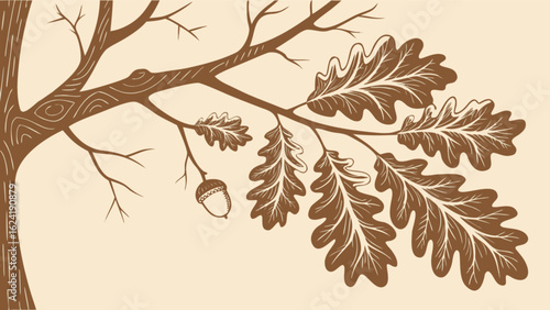Oak tree branch with leaves and acorn vector illustration for nature autumn design and botanical art print