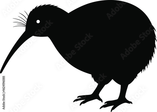 Black kiwi bird silhouette