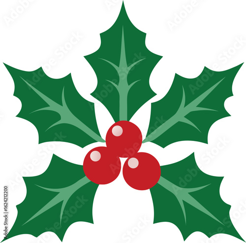 christmas holly berry leaves. Vector illustration graphic design cartoon style.
