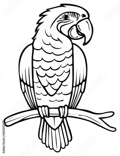 Line art parrot on branch illustration, tropical bird drawing, monochrome design