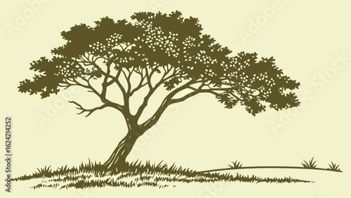 Illustration of a solitary tree with dense foliage and grass on a light background landscape view