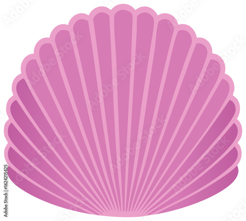 Pink seashell scallop icon vector illustration