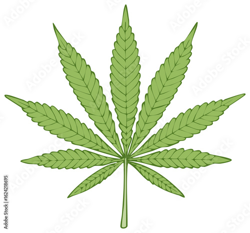 Single Green Cannabis Leaf with Serrated Edges and Visible Veins