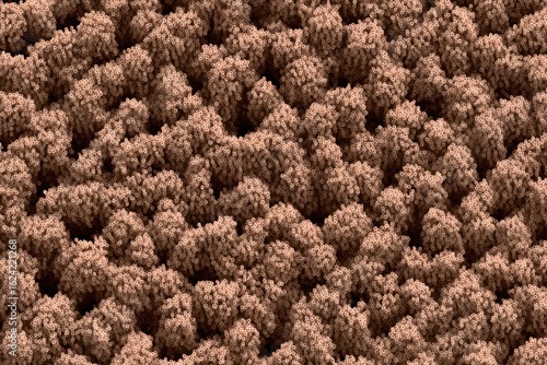 Close up View of Brightly Colored Succulent Plants in a Garden Bed