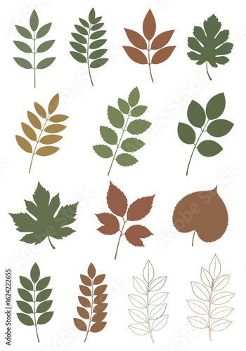 A diverse collection of stylized leaf illustrations in green and brown autumnal colors.