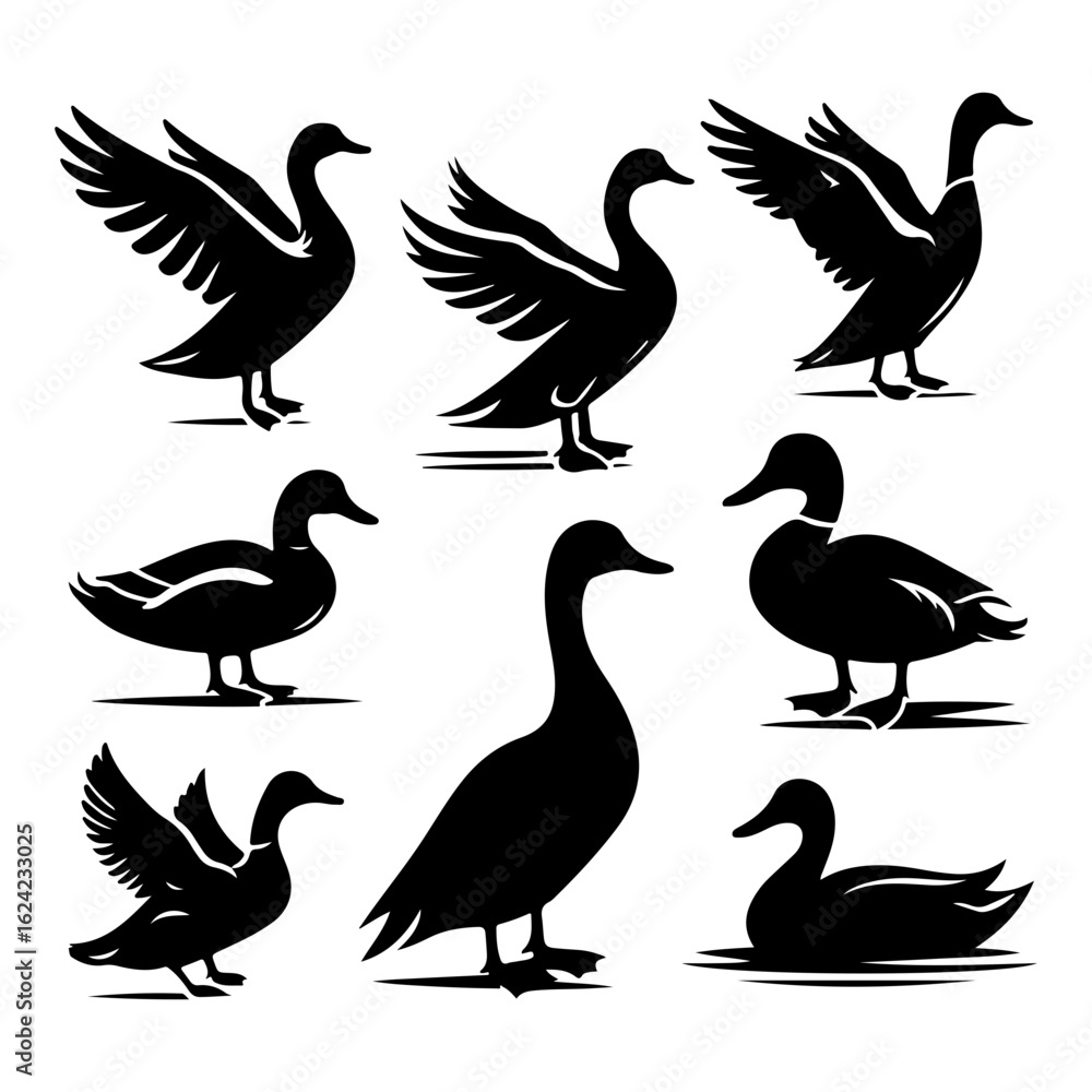 Obraz premium Flying duck silhouettes, bird in flight vector, wild duck shadow art, mallard graphic, animal silhouette illustration, wildlife motion graphic 
