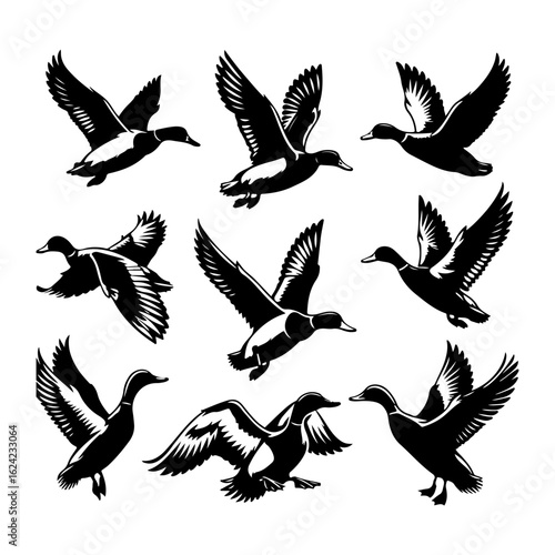 A beautiful flying Mallard Duck set vector art, Mallard Duck silhouette vector illustration, Mallard Duck line art vector icon design
