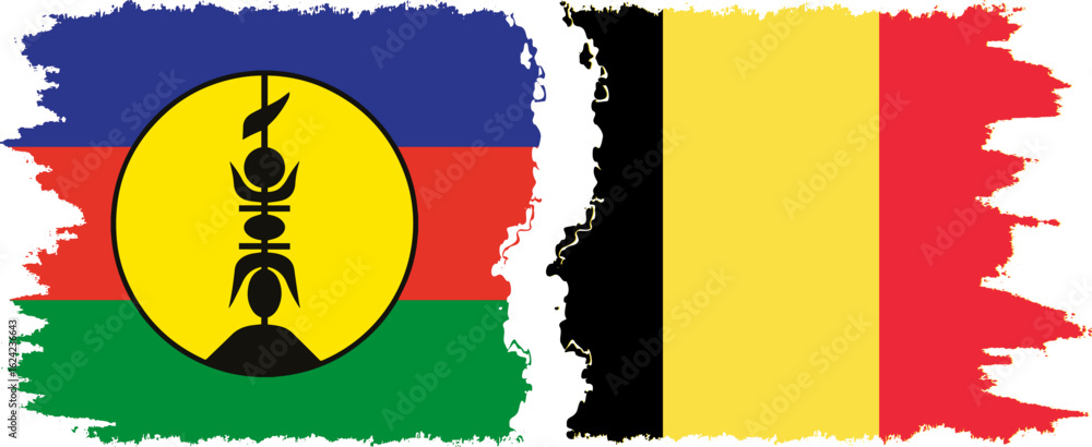 Naklejka premium Belgium and New Caledonia grunge flags connection, vector