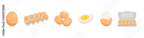 Eggs set. Raw, boiled, whole and sliced, peeled eggs. Scrambled eggs, omelette, yolks, eggshell, egg carton box isolated on white background. Poultry farming theme. Flat vector design illustration