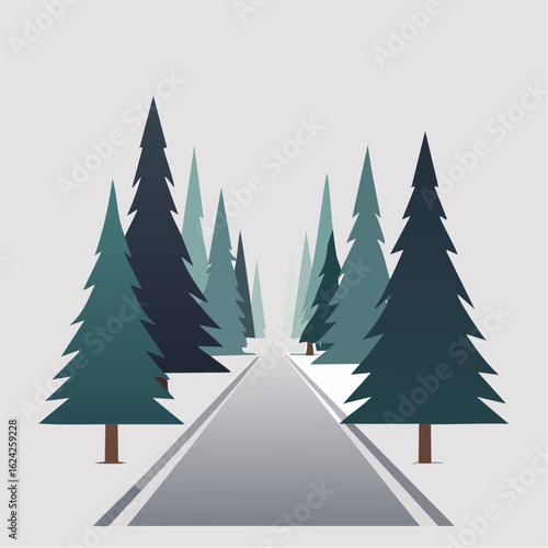 Road stretching through a quiet forest of tall Evergreen Trees