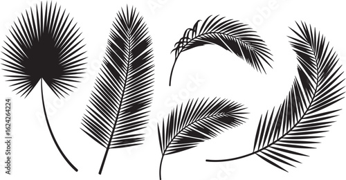 Black Silhouettes of Palm Tree Leaves and Fronds palm leaf palm frond