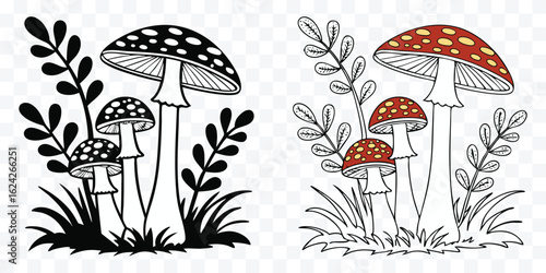 Amanita Mushroom Illustration with Decorative Foliage Black and White and Colored Versions for Botanical Art or Coloring Pages