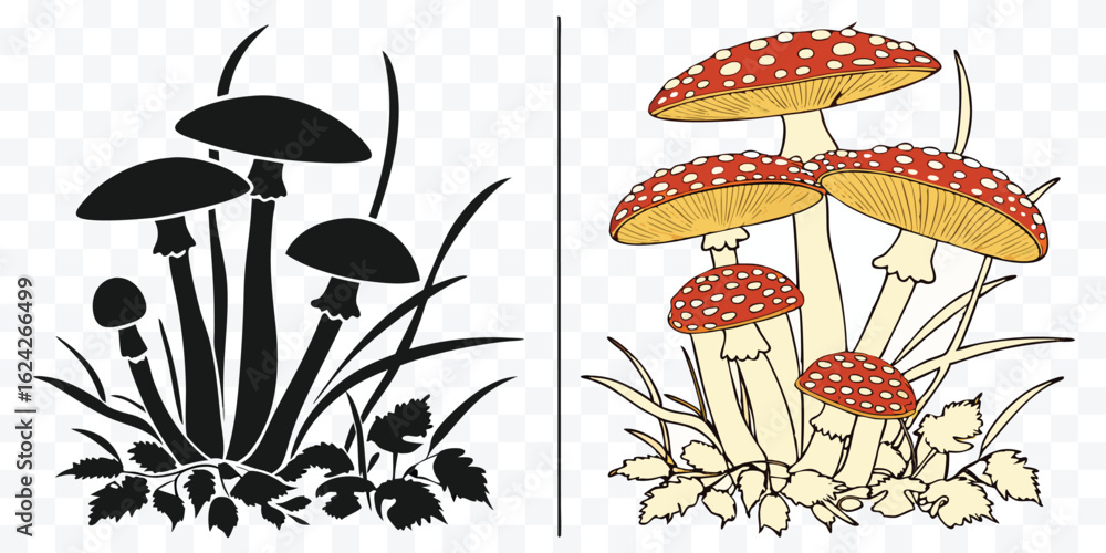 Obraz premium Amanita Mushroom Illustration in Black and White Silhouette and Colored Vector Graphic Depicting Forest Fungi with Red Caps and White Spots
