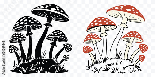 Enchanting mushroom illustration featuring contrasting black and white and colorful red and white mushroom clusters adding a whimsical touch for designs