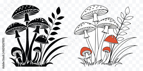 Mushroom Illustration with Woodland Plants Featuring Amanita Fungi in Black and White and Color Outline Art