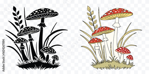 Amanita Mushroom Cartoon Illustration in Monochrome and Color Vintage Style Fungi and Grass Vector Design Elements