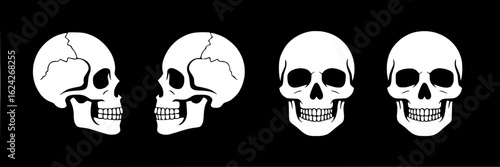 White skull collection on black background. Vector illustration set featuring front and side view, bone structure, teeth. Monochrome graphic design elements for Halloween, gothic, anatomy, death theme