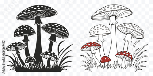 Amanita Mushroom Vector Illustration in Black and White Line Art Style with Natural Grass Detail on Transparent Background