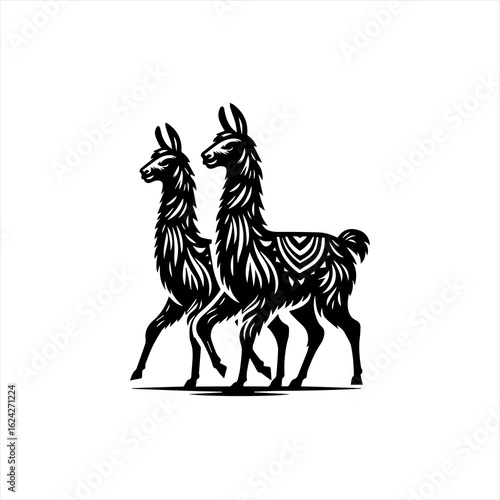 Two llamas walking side by side
