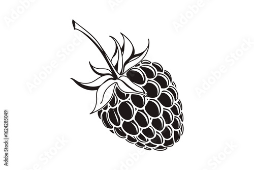 Detailed black ink sketch of a single ripe raspberry with stem and leaves presented as a silhouette isolated on white background