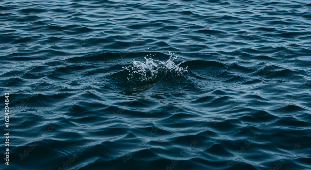 Obraz premium Dark water ripples with splash