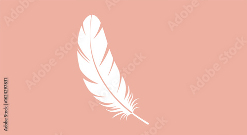 White feather on a blush tone plain background for a soft & light use