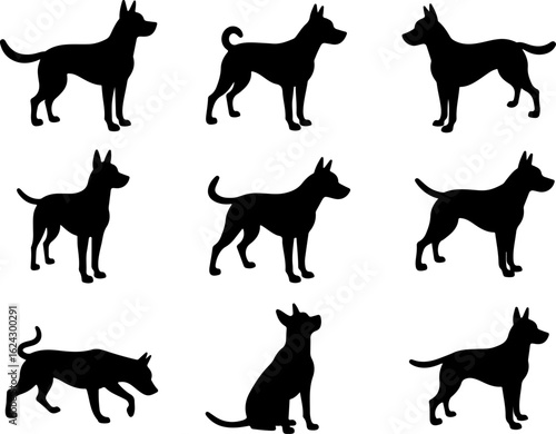  Dog Silhouettes in Various Poses vector bundle