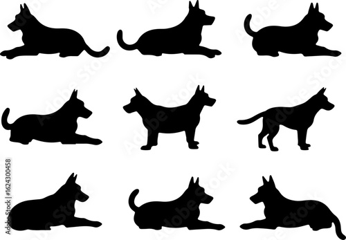  Dog Silhouettes in Various Poses vector bundle