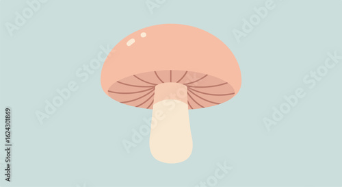 Mushroom vector on blue background for web graphic, sticker, education, craft