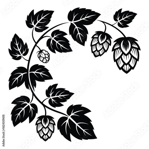 Black and white illustration of a hop vine with leaves and cones in a decorative flourish
