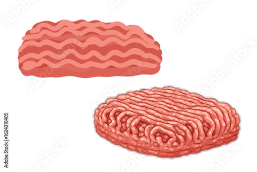 Fresh ground beef portions ready for cooking, showcasing raw meat texture and culinary potential