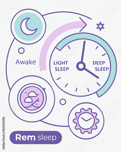 Human Sleep Cycle Infographic – Circular Vector Diagram with REM, Light, and Deep Sleep Stages
