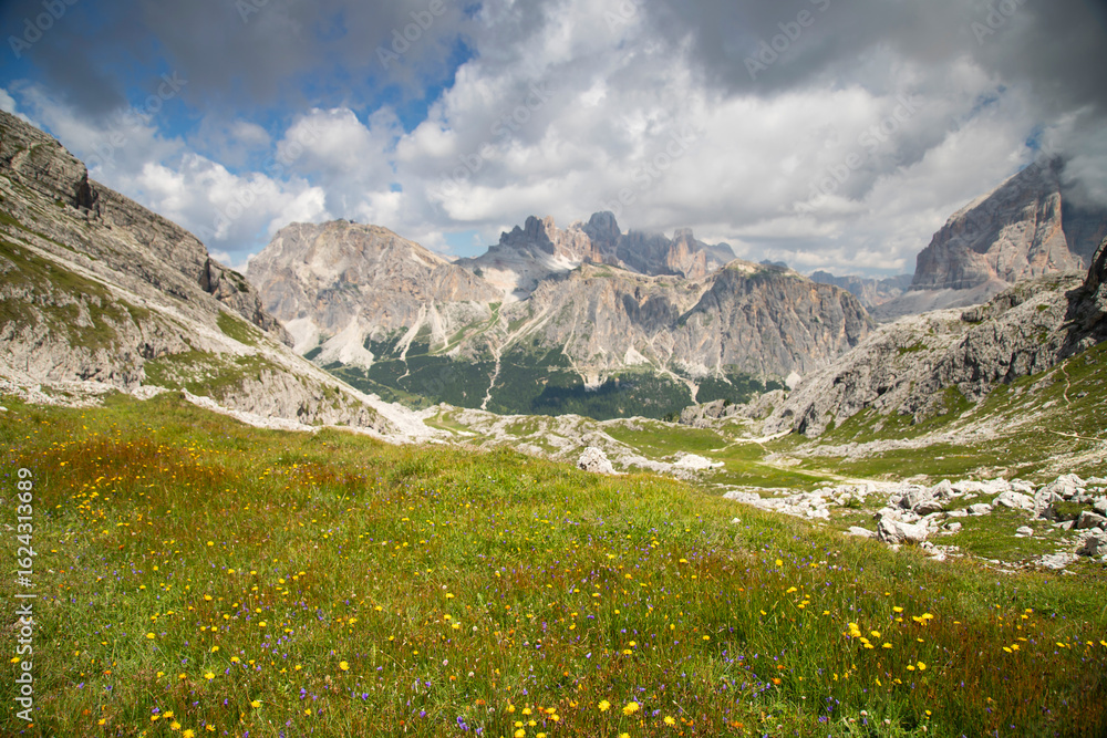 Fototapeta premium Alpine meadow in the mountains, The Dolomites, Italy