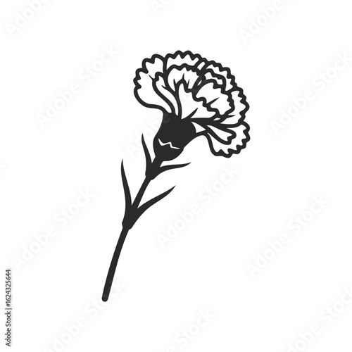 Detailed black and white carnation flower drawing with intricate petal design
