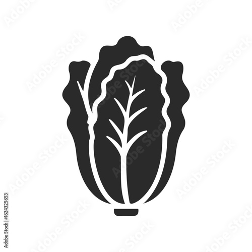 Stylized silhouette of napa cabbage on white background