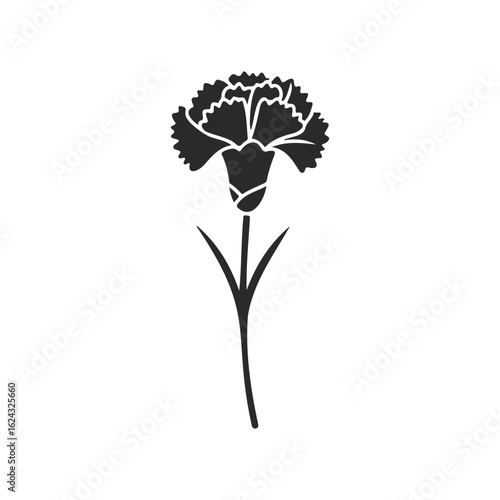 Black and white silhouette of a single carnation flower