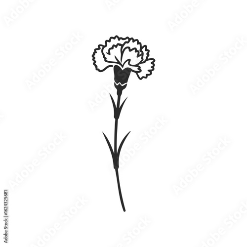Black and white carnation flower illustration with simple details