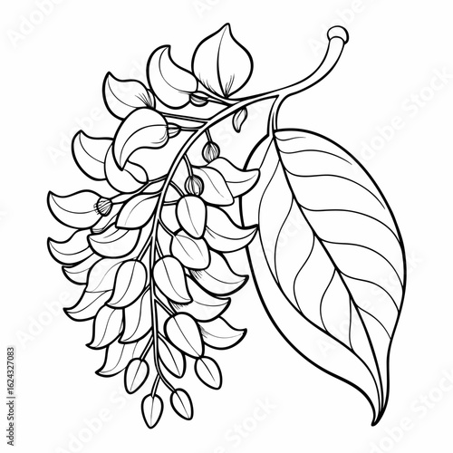 Tableau sur toile indian laburnum vector isolated on white background.