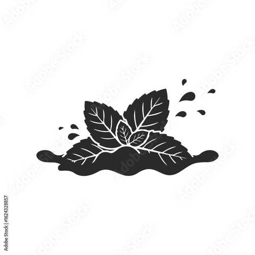 Black silhouette of mint leaves with splash detail