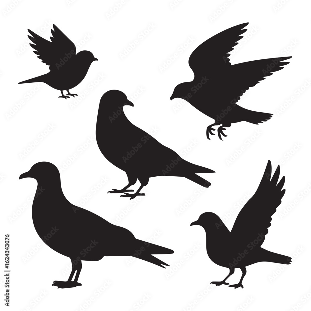 Obraz premium Wild Bird Species Silhouettes Pack – Minimal Vector Icons of Songbirds, Hawks, Doves, and Seabirds in Side and Top Views