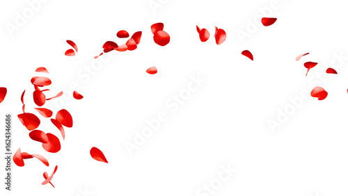 赤いバラの花びらの乱舞：背景透過