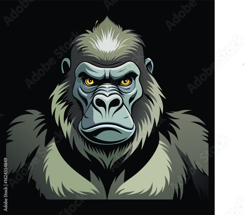 Fierce gorilla head with yellow eyes and grey fur against a black background primate animal