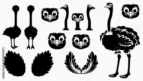 Silhouette illustrations of ostrich parts including heads necks bodies and feathers isolated on white