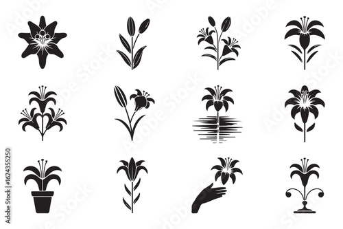 Collection of Elegant Lily Flower Silhouettes Isolated on White Background for Various Creative Projects and Design Elements
