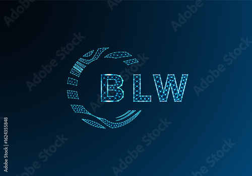 BLW low poly letter logo vector design. BLW lower poly logo design. BLW unique low poly logo design.